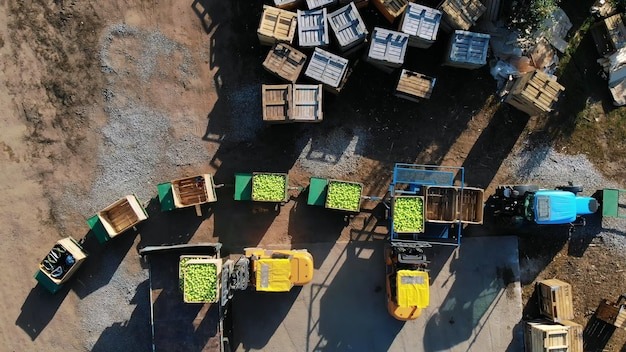 Building Bridges: From Farm to Global Markets